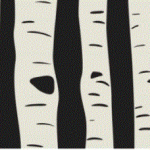 Presentazione Storia delle letterature scandinave