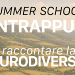 Summer School “Contrappunti” 2026: aperto il bando per partecipare alla prima edizione | Scadenza: 30 giugno 2026